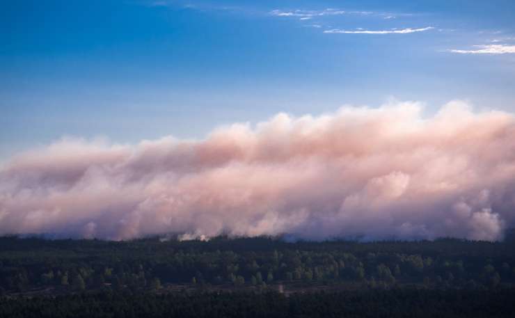 Severna Nemčija v plamenih: ogromen gozdni požar v beg pognal na stotine ljudi