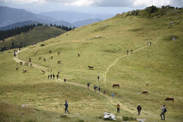 Rekorden avgust na Veliki planini: obiskalo jo je več kot 70.000 ljudi