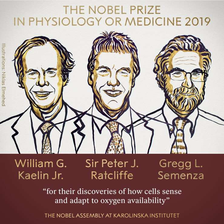 To so dobitniki letošnje Nobelove nagrada za medicino
