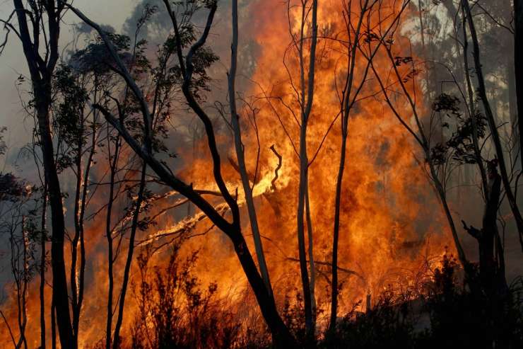 Avstralsko Canberro še naprej ogrožajo požari