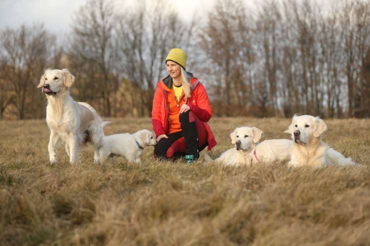 Moj pes, moje bogastvo: slovenski psi rešujejo življenja