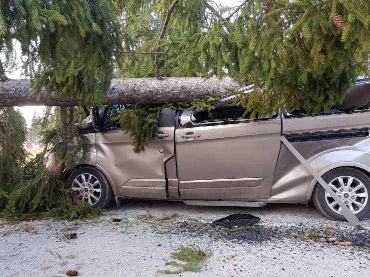 Divjanje vetra: odkrita kranjska gimnazija, v Novem mestu drevo padlo na avto