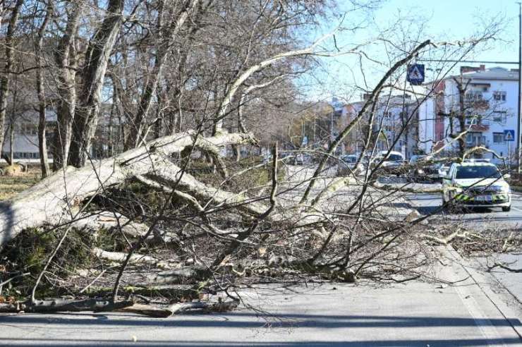 V vetrolomu padlo za okoli 100.000 kubičnih metrov drevja