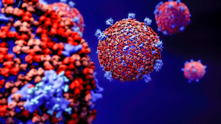 Po svetu kroži osem sevov novega koronavirusa