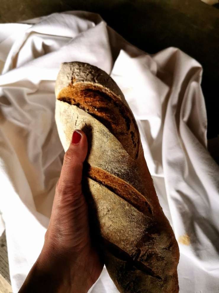Dobrodelna akcija: S kruhom do kruha
