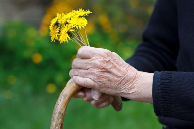 Terjajo pojasnila in odgovornost glede zdravljenja oskrbovancev v domovih za starejše