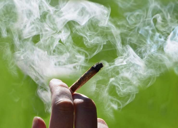 Bo marihuana končno umaknjena s seznama prepovedanih poživil?