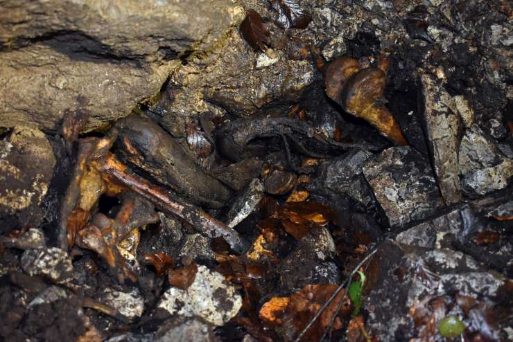Srhljive slike iz novoodkritega morišča v Kočevskem rogu: jamarji naleteli na ostanke najmanj 35 žrtev (FOTO)