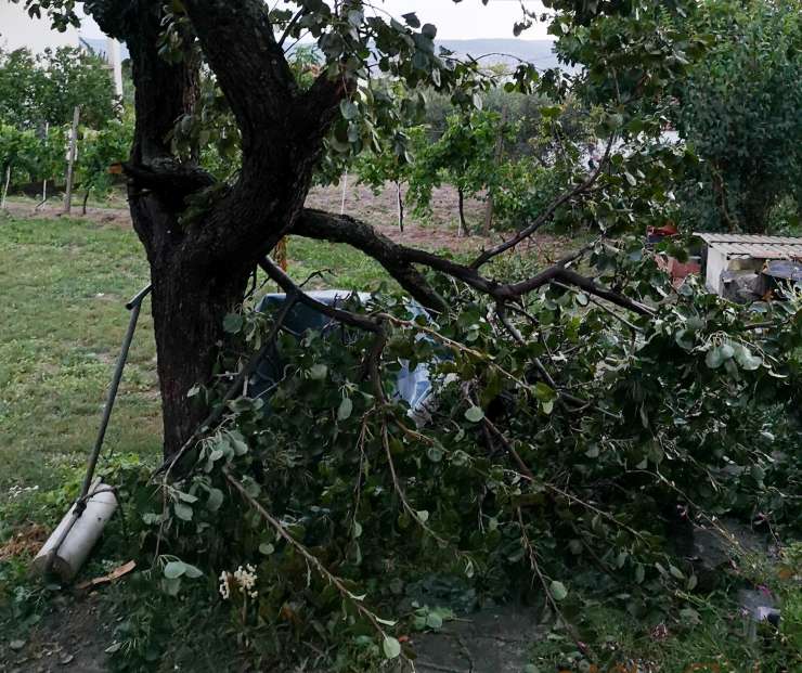 Močan veter lomil drevesa in poškodoval elektrovode