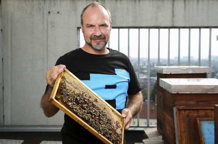 Gorazd Trušnovec, čebelar in filmski kritik: Zdi se mi, da smo Slovenci genetsko naklonjeni čebelarjenju