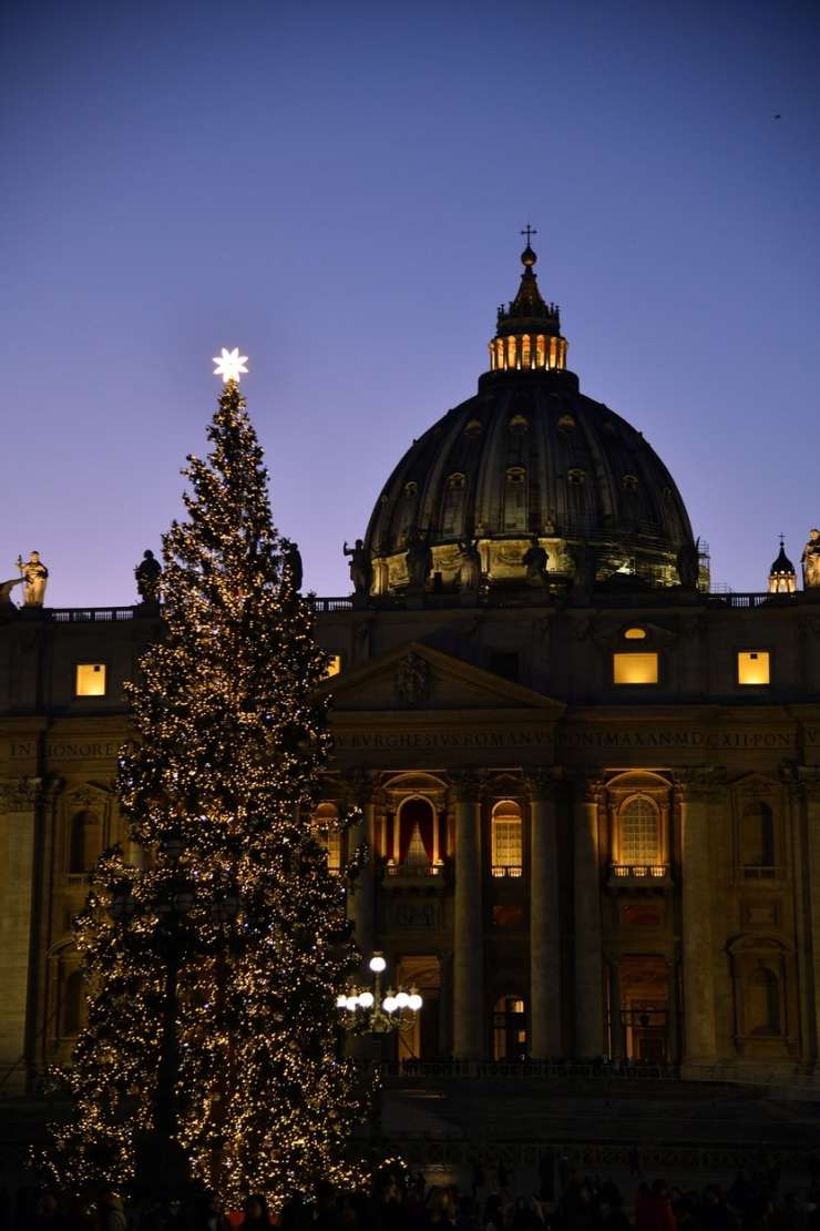 75-letna kočevska smreka bo krasila božični Vatikan