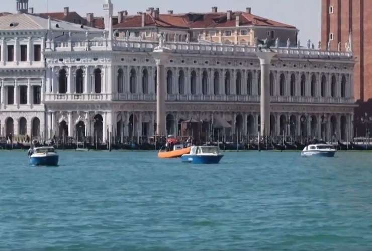 Benečani vzhičeni zaradi delfinov pred Trgom sv. Marka (VIDEO)