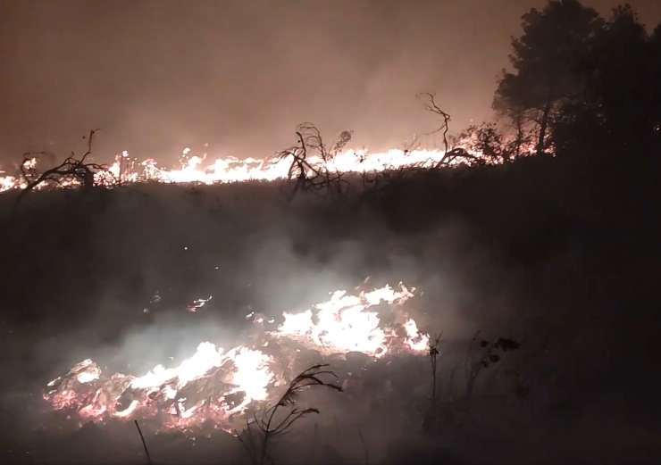 Hvar gori, v boju z ognjem 50 gasilcev in tri letala (FOTO)