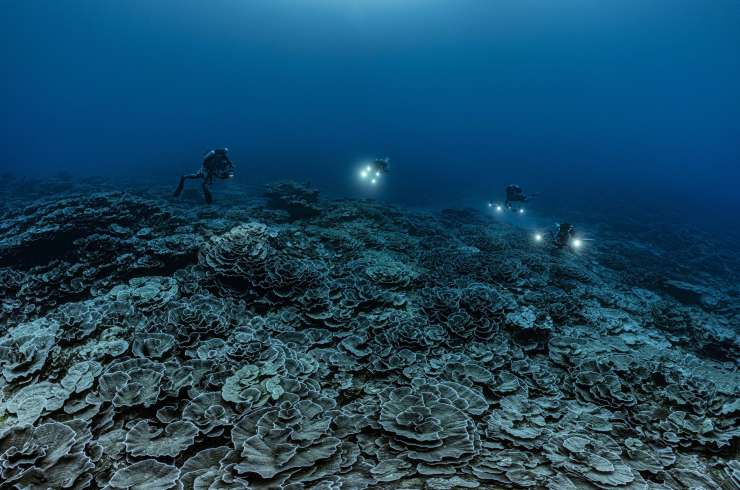 Odkritje: Orjaški koralni greben pri Tahitiju