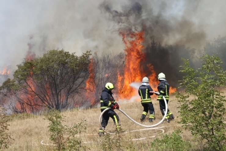 Na gorečem Krasu ni miru za izmučene gasilce (FOTO)