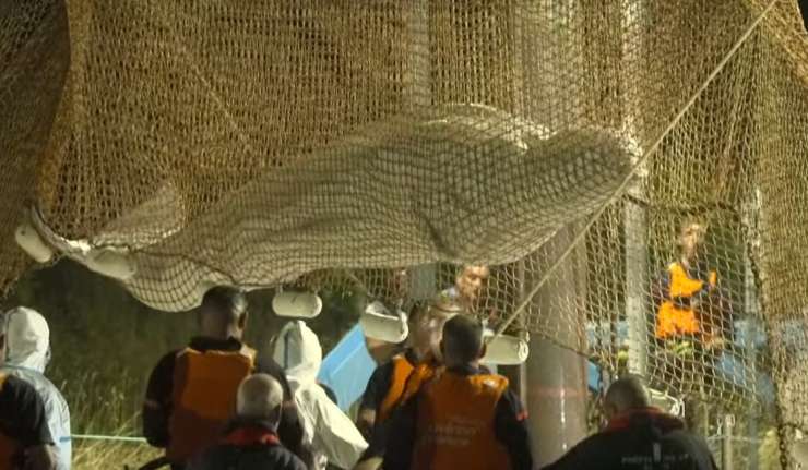 Poglejte to neverjetno reševanje belega kita iz reke Sene (VIDEO)