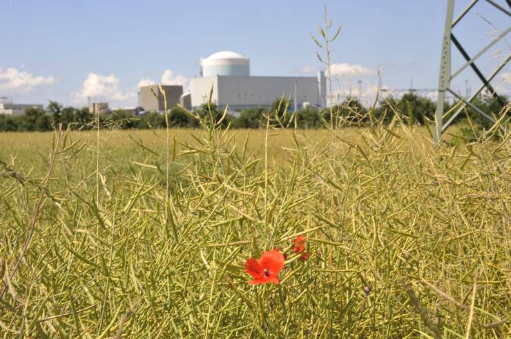 Bi lahko novo jedrsko elektrarno v Krškem dobili do leta 2038?