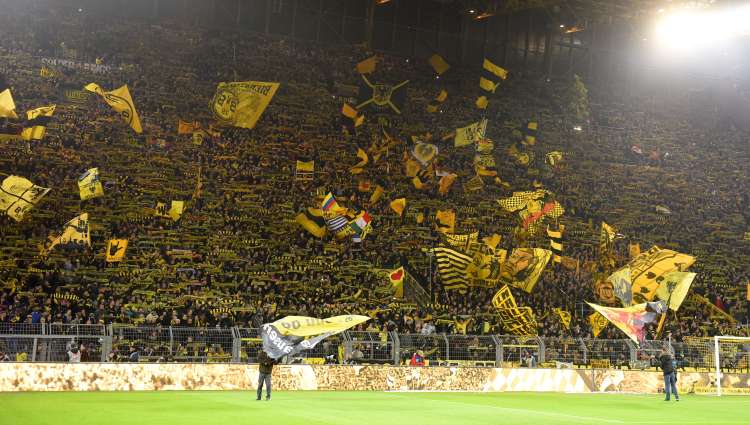 borussia 5 nm