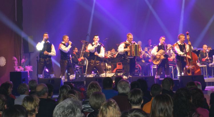 ansambel_nemir_nemirni_koncert_2014.jpg