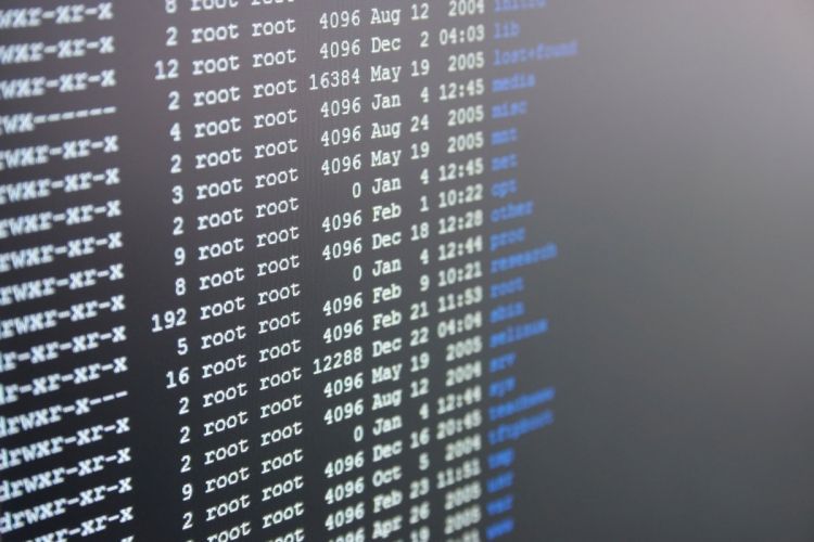 ddos