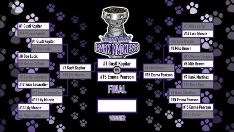 BarkMadness-FINAL