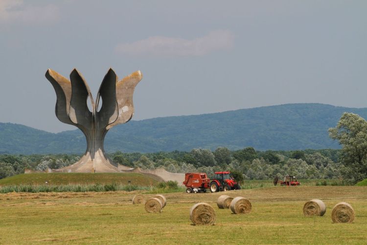 jasenovac, kamena roža