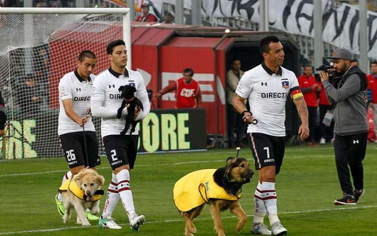 colocolo3