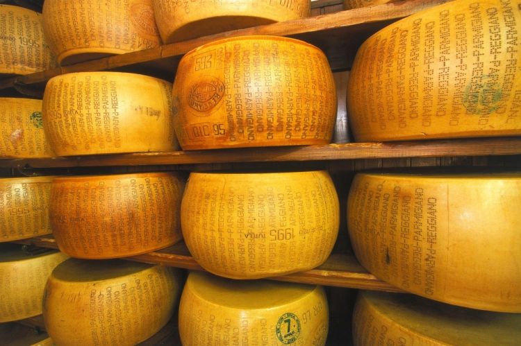 Parmezan ni samo sir, je najboljši trdi sir z bogato zgodovino.