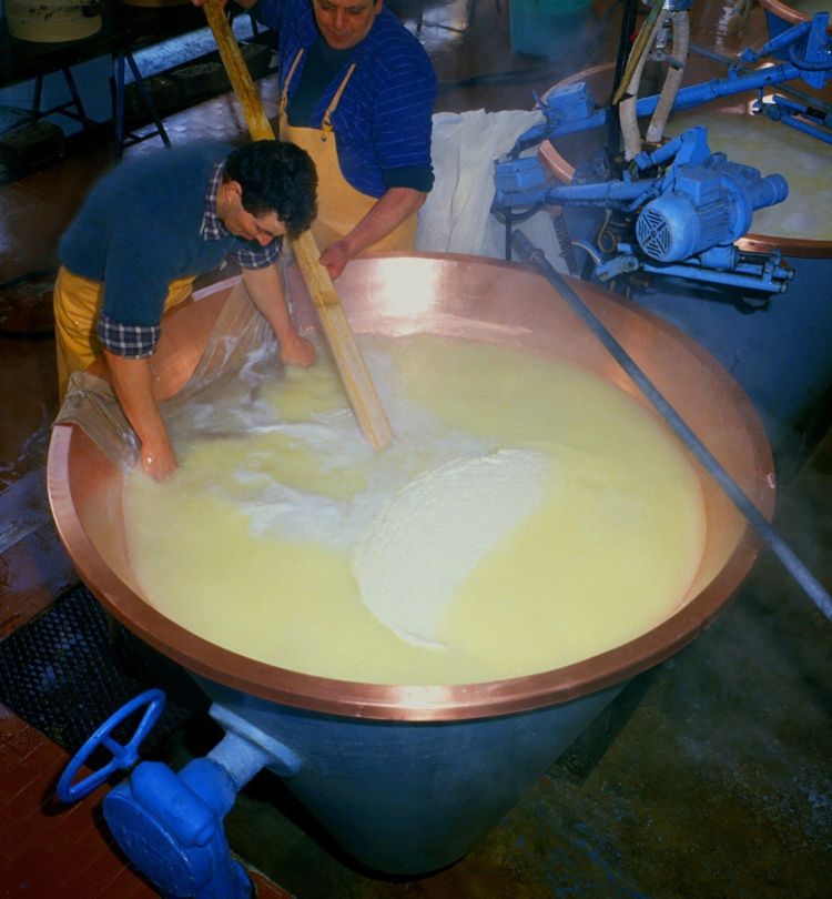 Parmezan ni samo sir, je najboljši trdi sir z bogato zgodovino.