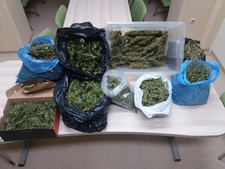 marihuana