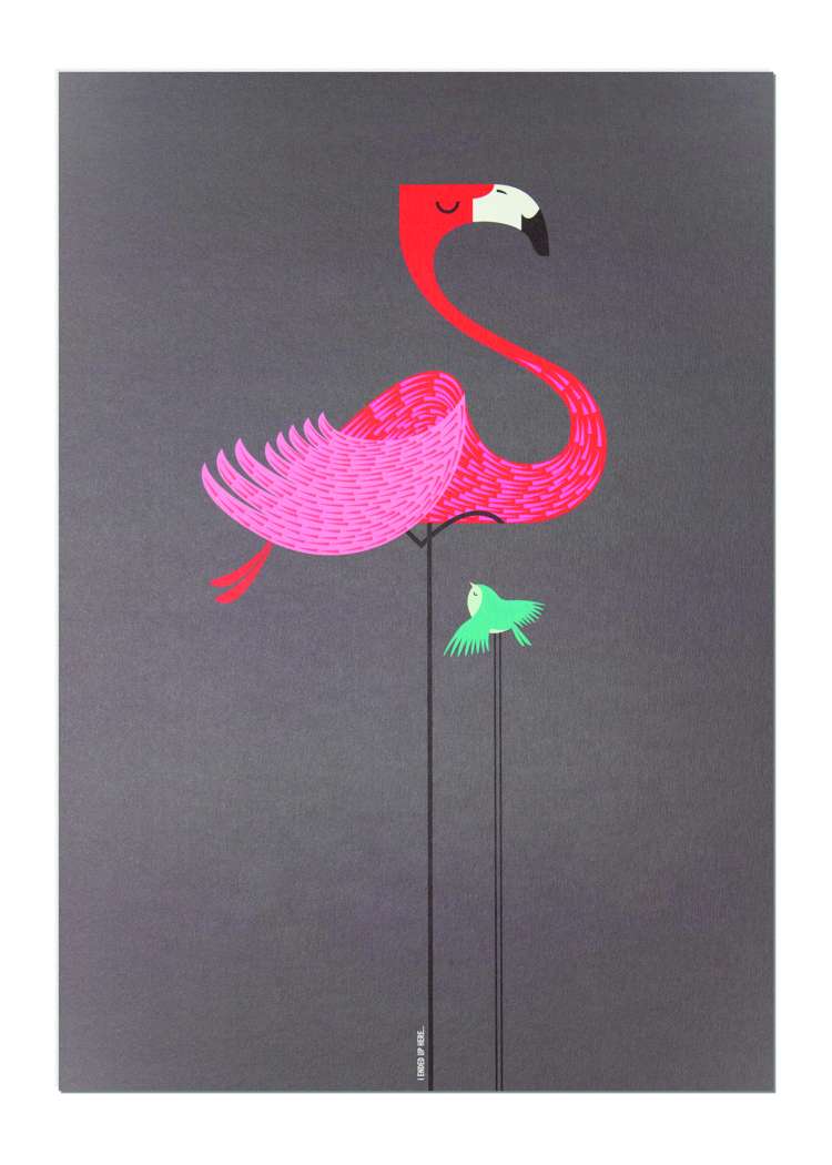 d Flamingo Illustration.jpg