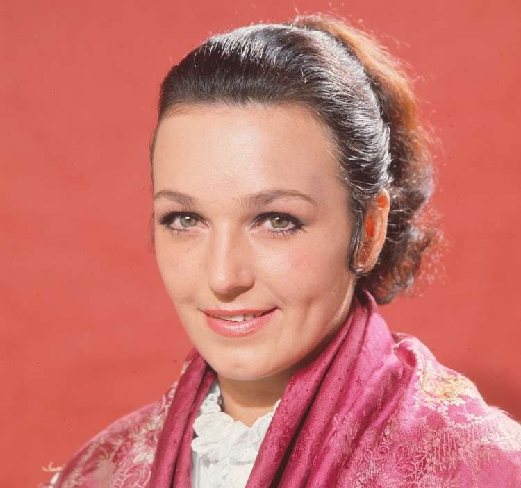 Majda Renko Petrič