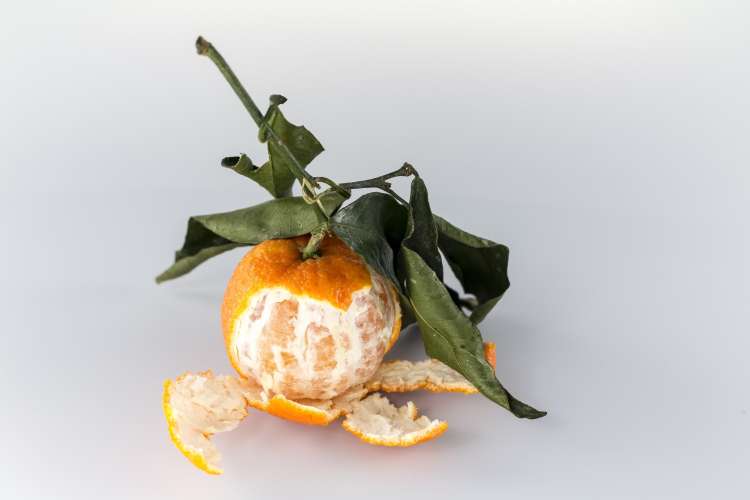 Mandarine.jpg