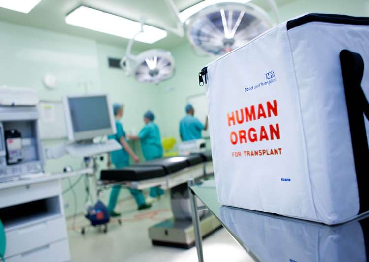 donacija organov.jpeg