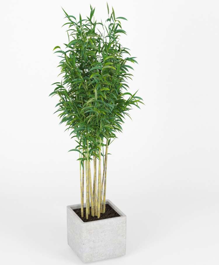 bambus-umetna-rastlina.jpg