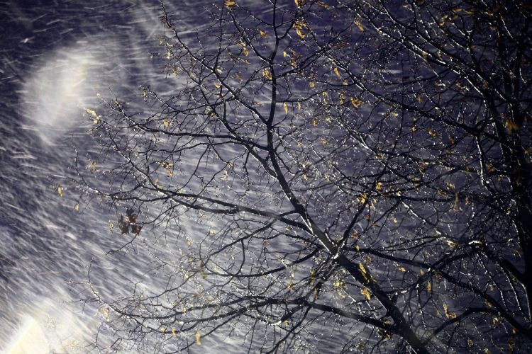 dež, naliv, padavine, veter, neurje, sneg.jpg