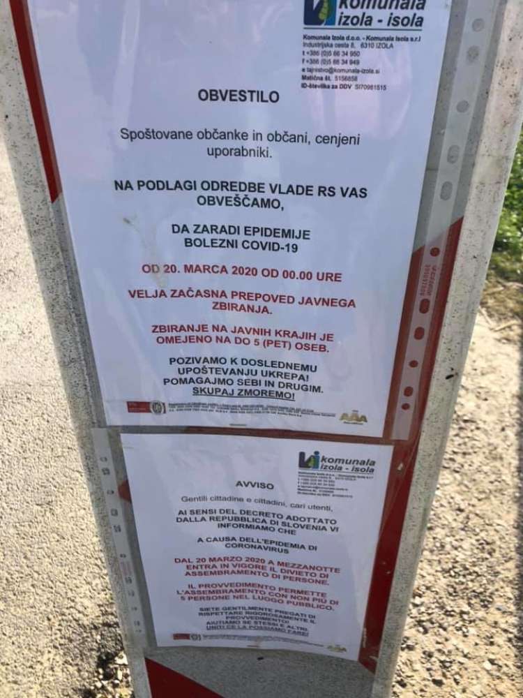 strunjan, obala