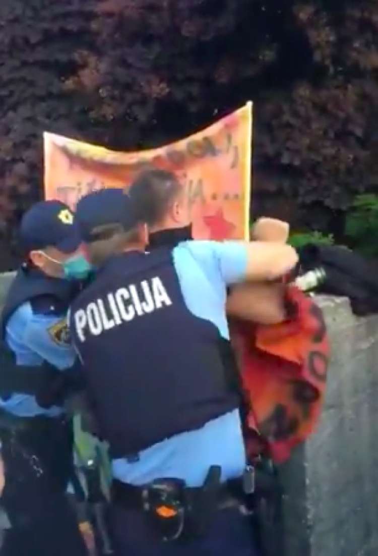 protestnik, pridržan, policija