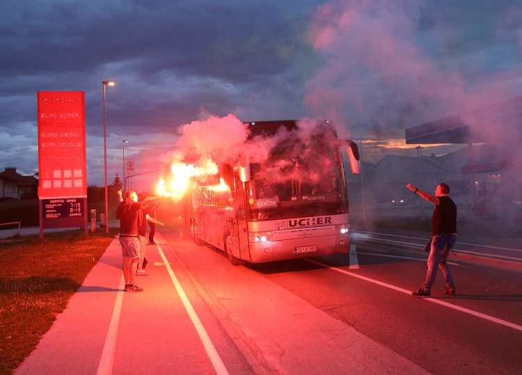 maribor kranj viole