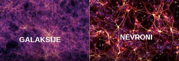 galaksije nevroni.JPG