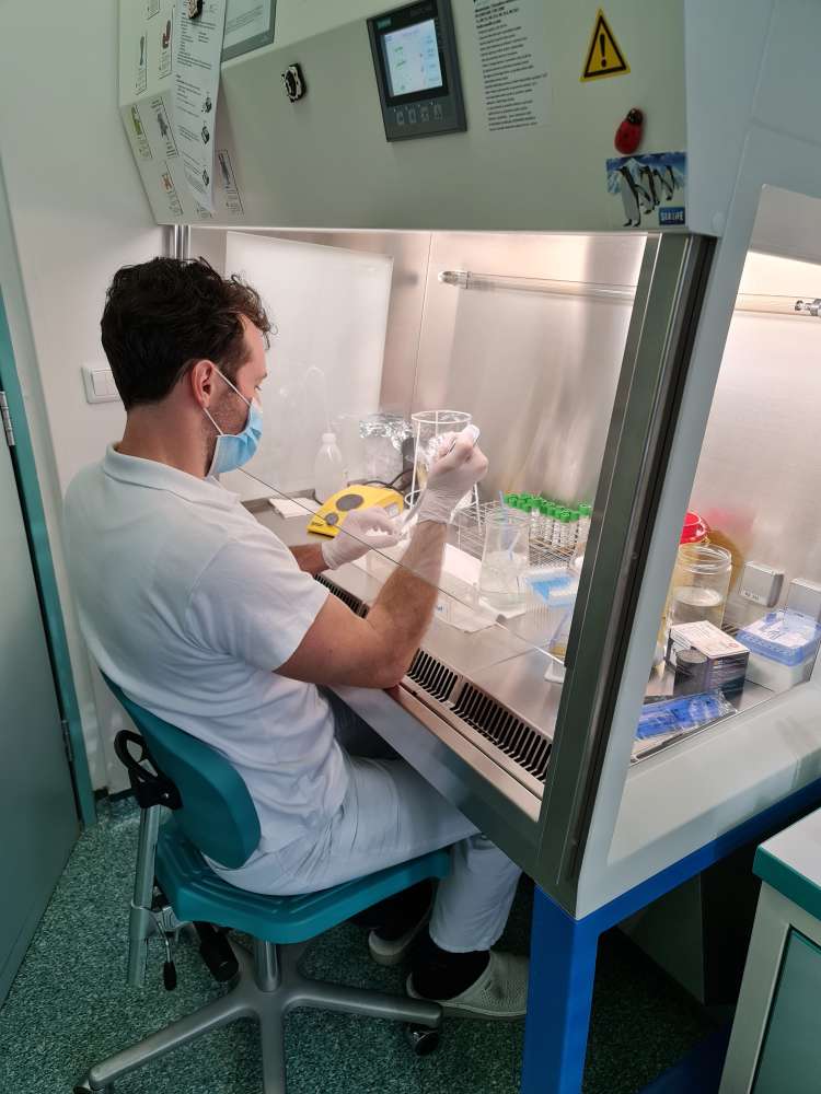 Svetovalna skupina pod vodstvom Bojane Beović je predlagala povečanje dnevnega števila molekularnih PCR testov na 10.000, ki ga v Sloveniji nikoli nismo dosegli. Največ, skoraj 8000 ljudi je bilo po uradnih podatkih testiranih ob torkih, 10. in 24 novembra,