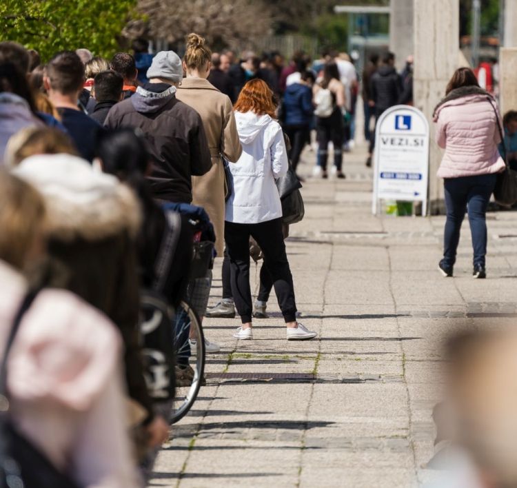 hitri-test, ljubljana, testiranje, kolona