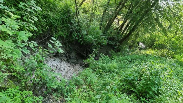 Preiskovalci so ugotovili, da so osumljeni 3. junija prevzeli in z devetimi vožnjami prepeljali 197 ton blata na lokacijo v Pivoli ter ga tam odvrgli. Sodeloval je tudi 36-letnik z območja Maribora, ki jim je našel in jih vodil na lokacijo, v zameno pa je dobil plačilo.