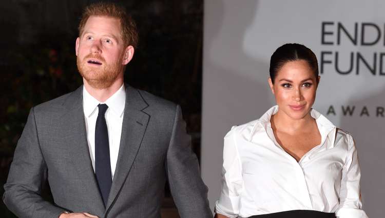 Meghan Markle, vojvodinja sussekška in žena britanskega princa Harryja, bo za Netflix producirala animirano pustolovsko serijo Pearl, o 12-letnici, ki jo navdihujejo močne ženske.