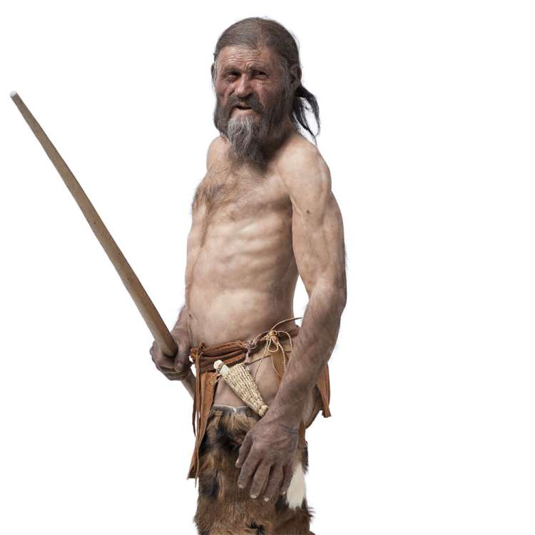 Ötzi rekonstrukcija iceman it.jpg