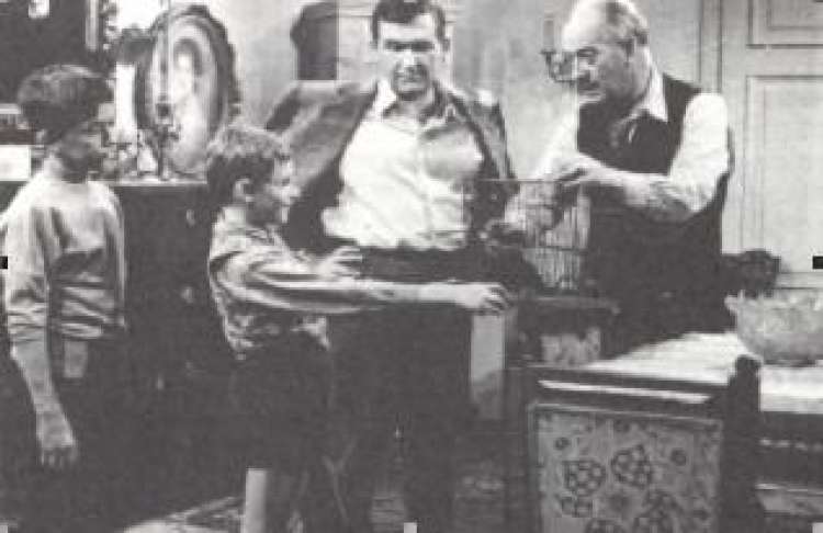 Izsek iz filma Družinski dnevnik, 1961