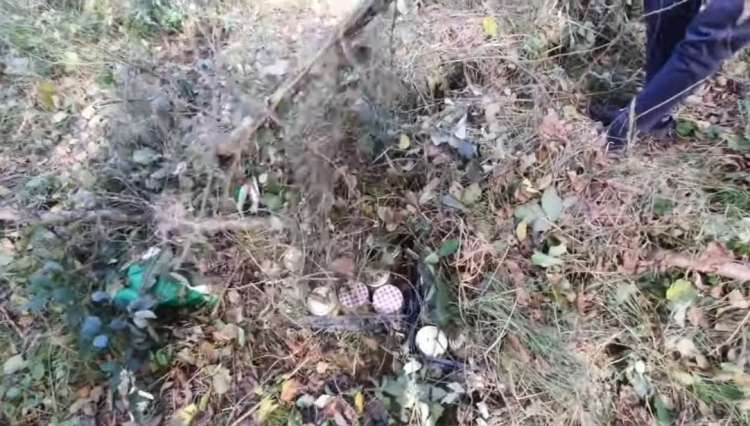 Nika in Dominik sta se skupaj s Stanko odpravila obiskat Vučjo Gomilo, kjer so v začetku avgusta zabrnele kamere resničnostnega šova Kmetija. Na posestvo sicer niso smeli stopiti, saj so jih opozorili, da gre za privatno zemljišče, so se pa sprehodili na ob robovih in s pogledom na objekte obujali spomine.