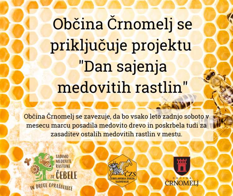 Občina Črnomelj bo v mestu zasadila medovite rastline (3).png