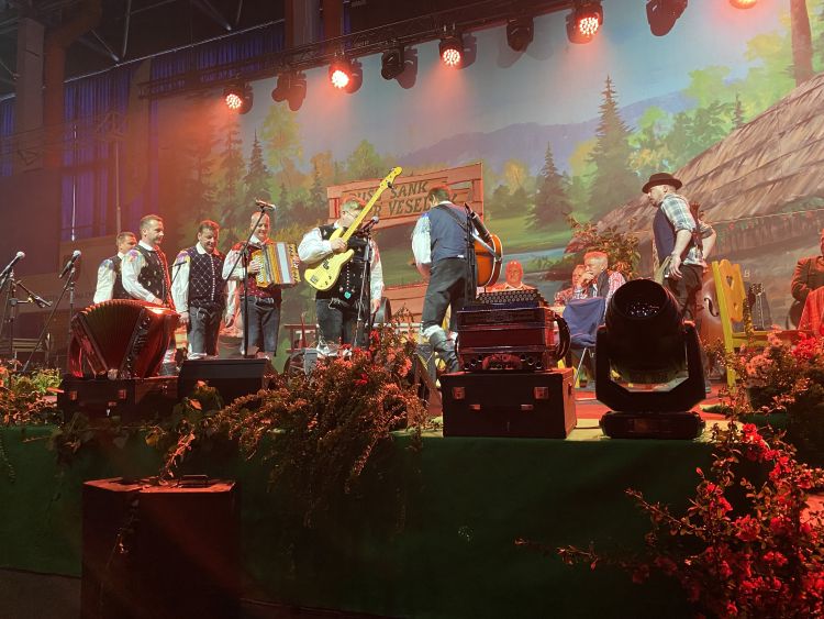 koncert, veseljak, nastopajoči