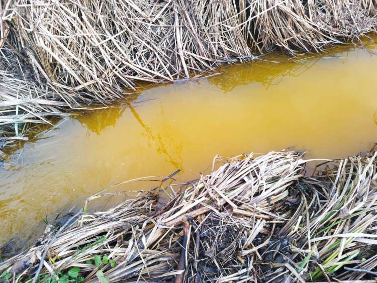 Občani so iztekanje rumene vode prijavili inšpekciji za okolje in prostor.